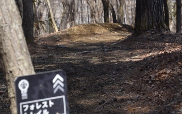 コースイメージ2